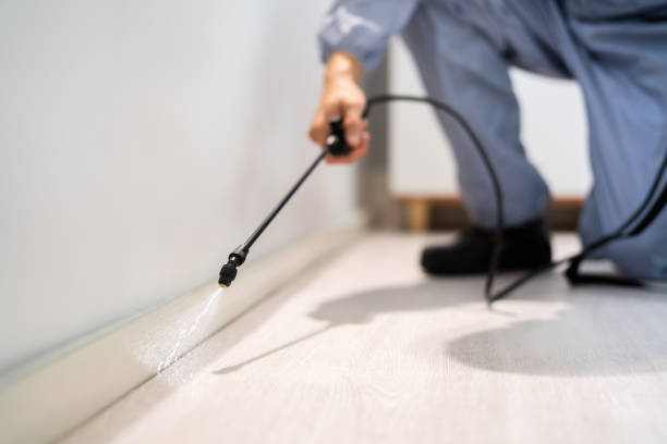 Professional exterminator conducting IPM assessment in Bluefield